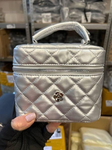 Жіноча сумка-косметичка велика 10660-BIG Vanity Bag крос-боді срібляста 10660-4 фото