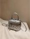 Жіноча сумка-косметичка маленька 10660-SMALL Vanity Bag крос-боді срібляста 10660-2 фото 4