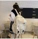 Рюкзак с карманами 3856 мужской женский детский школьный портфель бежевий 10223-2 фото 7
